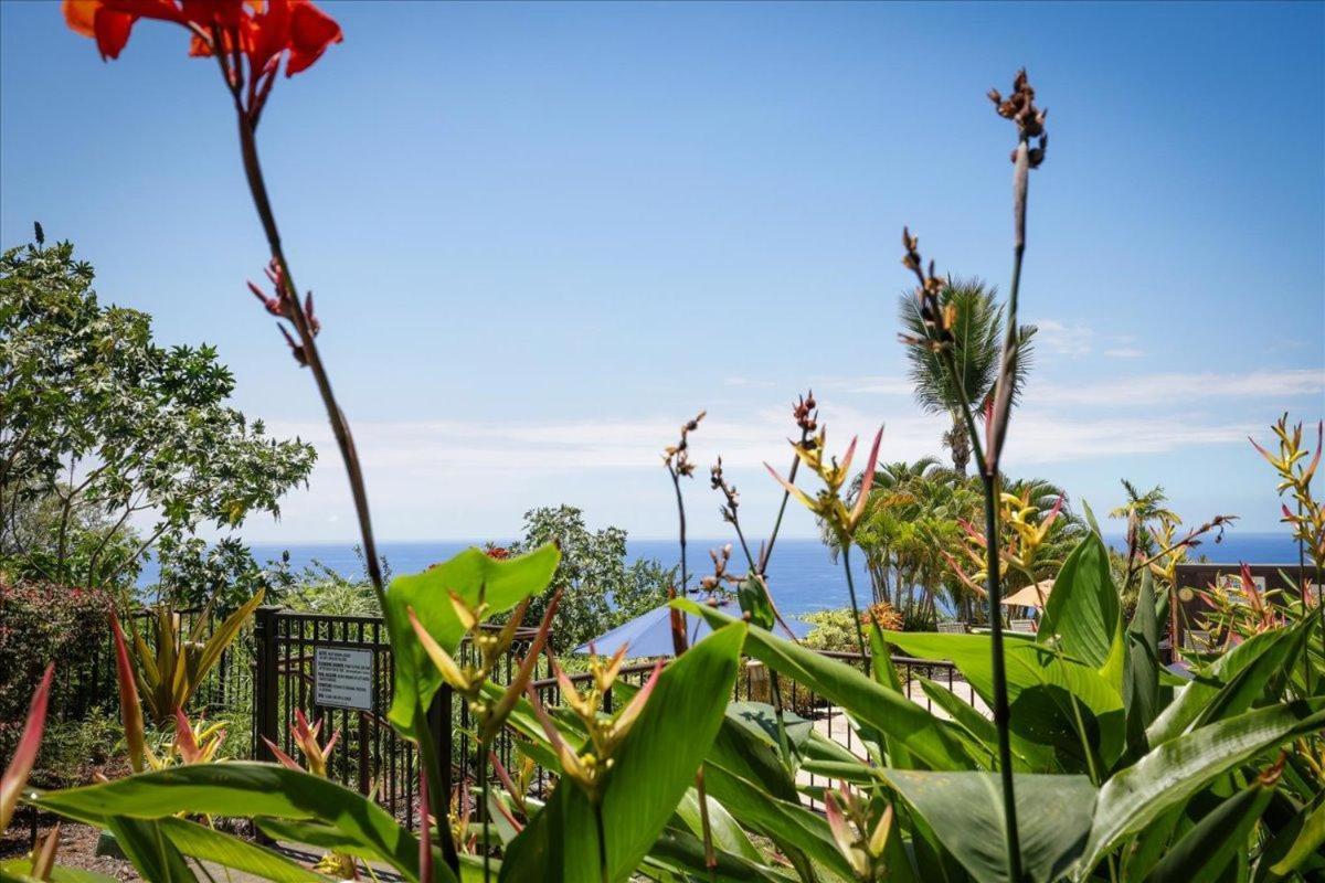Kona Westwind 1 New! Quiet Ocean-View 1St Floor | Patio | Pool Villa Kailua-Kona Dış mekan fotoğraf